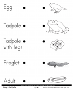 01SC01_Sample_Page_3_1