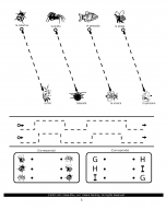 SR-02SAMPLE_Page_1